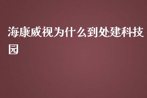 海康威视为什么到处建科技园_https://www.apanben.com_财经资讯_第1张