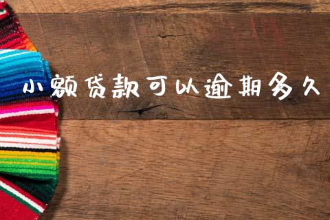 小额贷款可以逾期多久_https://www.apanben.com_股市分析_第1张