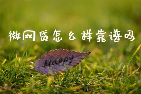 微网贷怎么样靠谱吗_https://www.apanben.com_国际财经_第1张