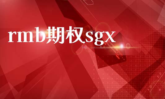 rmb期权sgx_https://www.apanben.com_国际财经_第1张