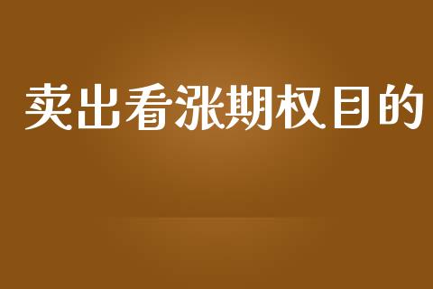 卖出看涨期权目的_https://www.apanben.com_国际财经_第1张