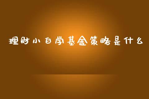 理财小白学基金策略是什么_https://www.apanben.com_财经资讯_第1张