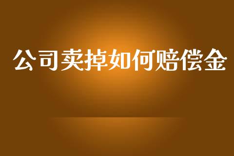 公司卖掉如何赔偿金_https://www.apanben.com_股票怎么玩_第1张