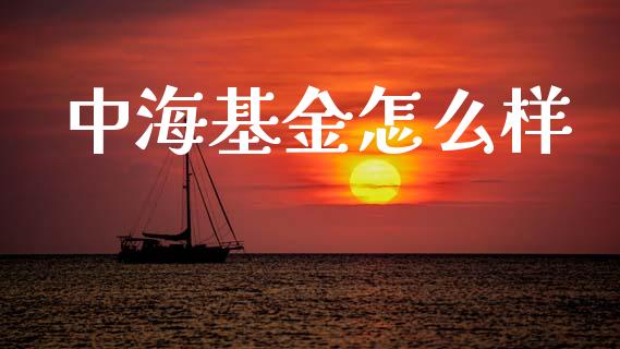 中海基金怎么样_https://www.apanben.com_财经资讯_第1张