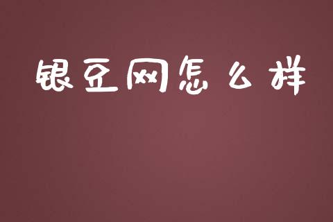 银豆网怎么样_https://www.apanben.com_国际期货_第1张