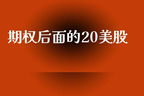 期权后面的20美股_https://www.apanben.com_财经资讯_第1张