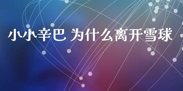 小小辛巴 为什么离开雪球_https://www.apanben.com_股市指导_第1张