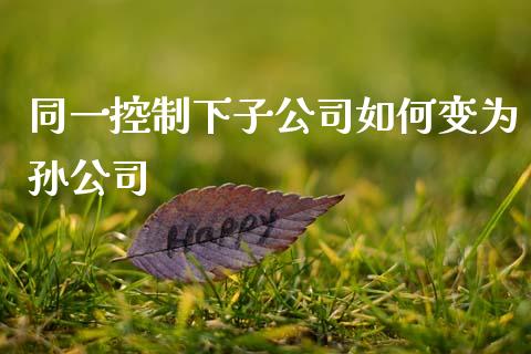 同一控制下子公司如何变为孙公司_https://www.apanben.com_股市指导_第1张
