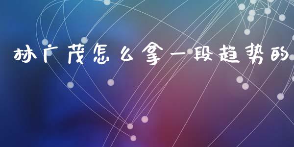 林广茂怎么拿一段趋势的_https://www.apanben.com_股票怎么玩_第1张
