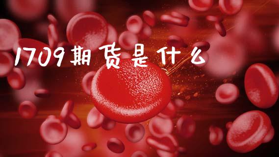 1709期货是什么_https://www.apanben.com_股市分析_第1张