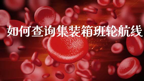 如何查询集装箱班轮航线_https://www.apanben.com_期货学院_第1张