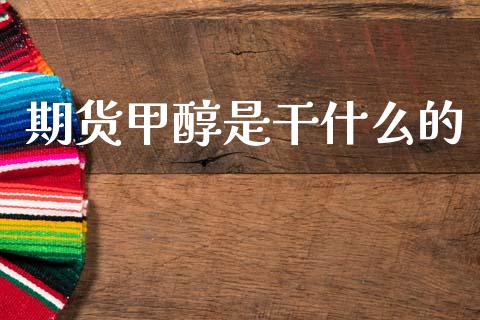 期货甲醇是干什么的_https://www.apanben.com_股市分析_第1张