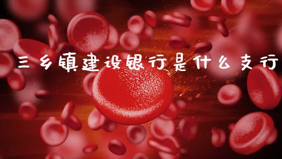 三乡镇建设银行是什么支行_https://www.apanben.com_期货学院_第1张