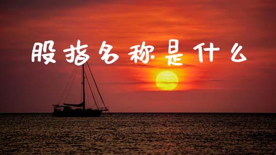 股指名称是什么_https://www.apanben.com_期货学院_第1张