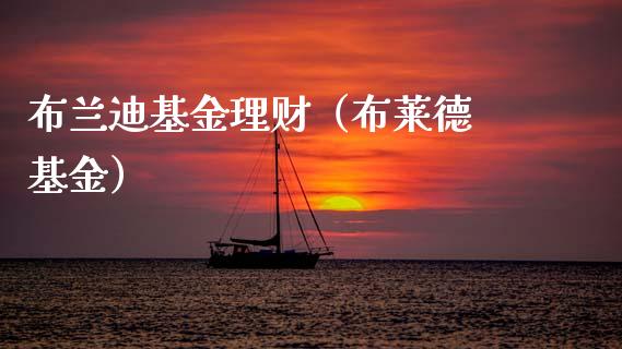 布兰迪基金理财（布莱德 基金）_https://www.apanben.com_国际财经_第1张