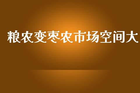 粮农变枣农市场空间大_https://www.apanben.com_在线喊单_第1张