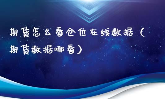 期货怎么看仓位在线数据（期货数据哪看）_https://www.apanben.com_在线喊单_第1张