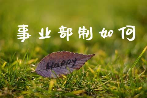 事业部制如何_https://www.apanben.com_股票怎么玩_第1张