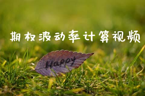 期权波动率计算视频_https://www.apanben.com_股市指导_第1张
