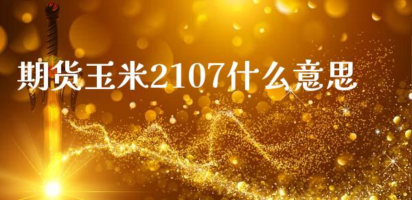 期货玉米2107什么意思_国际期货_第1张_安贝财经网 期货玉米2107什么意思_https://www.apanben.com_国际期货_第1张