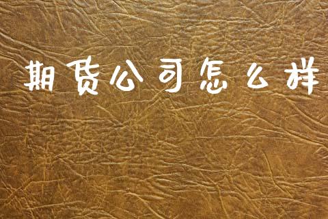 期货公司怎么样_https://www.apanben.com_国际期货_第1张
