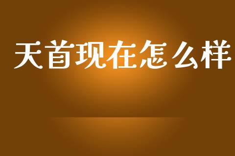 天首现在怎么样_https://www.apanben.com_财经资讯_第1张