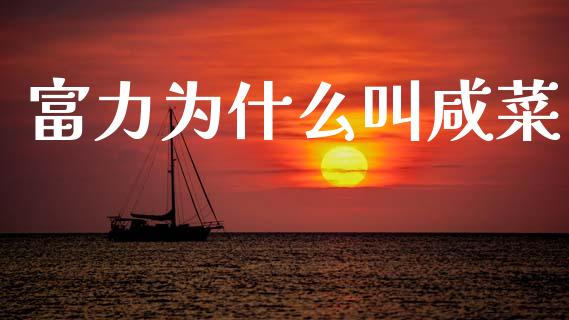 富力为什么叫咸菜_https://www.apanben.com_期货学院_第1张