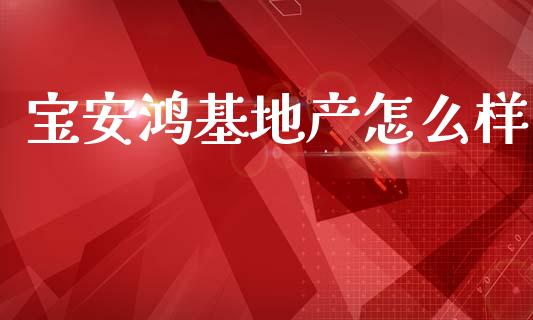 宝安鸿基地产怎么样_https://www.apanben.com_国际财经_第1张