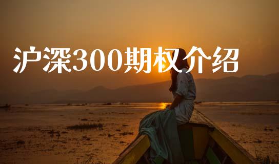 沪深300期权介绍_https://www.apanben.com_股市指导_第1张