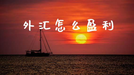 外汇怎么盈利_https://www.apanben.com_国际期货_第1张