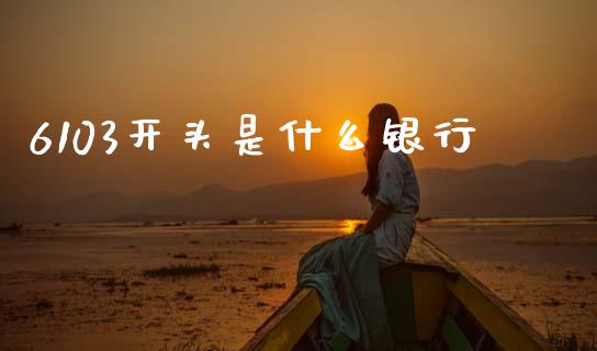 6103开头是什么银行_https://www.apanben.com_股市指导_第1张