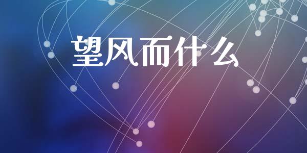 望风而什么_https://www.apanben.com_国际财经_第1张