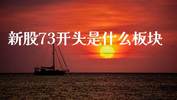 新股73开头是什么板块_https://www.apanben.com_国际财经_第1张