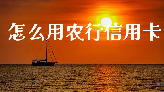 怎么用农行信用卡_https://www.apanben.com_在线喊单_第1张