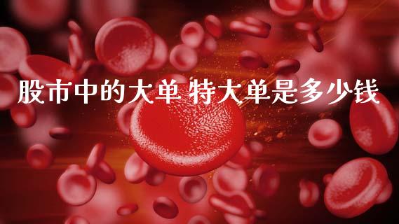 股市中的大单 特大单是多少钱_https://www.apanben.com_股票怎么玩_第1张