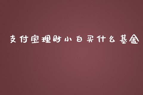 支付宝理财小白买什么基金_https://www.apanben.com_国际财经_第1张