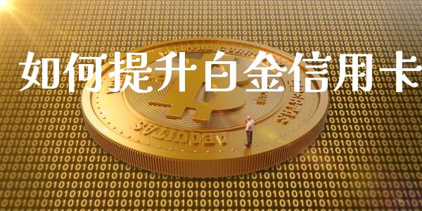 如何提升白金信用卡_https://www.apanben.com_股市指导_第1张