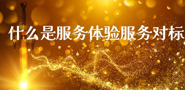 什么是服务体验服务对标_https://www.apanben.com_股票怎么玩_第1张