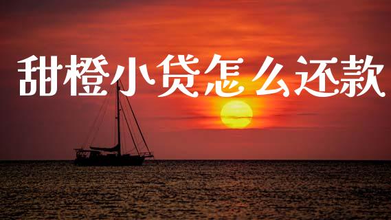 甜橙小贷怎么还款_https://www.apanben.com_国际财经_第1张