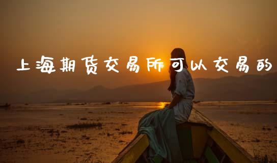 上海期货交易所可以交易的_https://www.apanben.com_股市指导_第1张