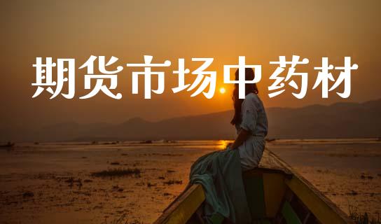 期货市场中药材_https://www.apanben.com_股市分析_第1张