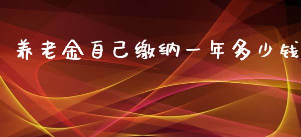 养老金自己缴纳一年多少钱_https://www.apanben.com_国际期货_第1张