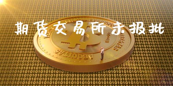 期货交易所未报批_https://www.apanben.com_股票怎么玩_第1张