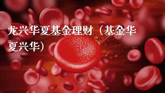 龙兴华夏基金理财（基金华夏兴华）_https://www.apanben.com_财经资讯_第1张