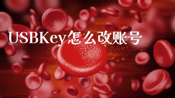 USBKey怎么改账号_https://www.apanben.com_在线喊单_第1张
