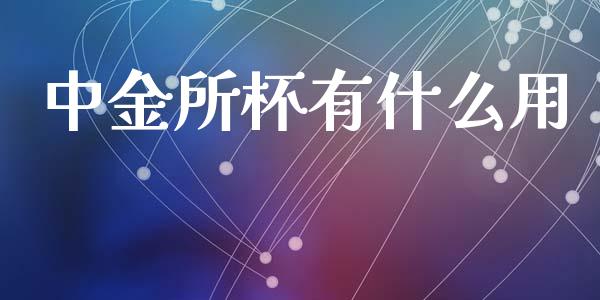 中金所杯有什么用_https://www.apanben.com_股票怎么玩_第1张