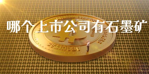 哪个上市公司有石墨矿_https://www.apanben.com_国际财经_第1张