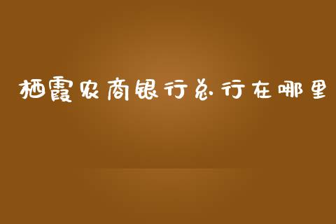 栖霞农商银行总行在哪里_https://www.apanben.com_国际期货_第1张