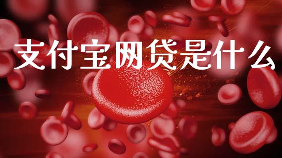 支付宝网贷是什么_https://www.apanben.com_在线喊单_第1张