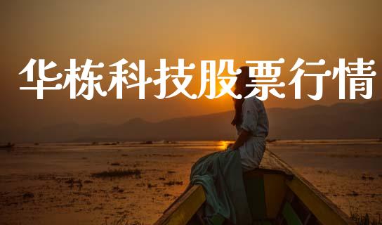 华栋科技股票行情_https://www.apanben.com_股票怎么玩_第1张